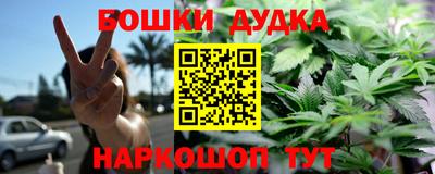 прущие грибы Краснодар