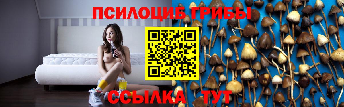 Псилоцибиновые грибы мицелий Кисловодск